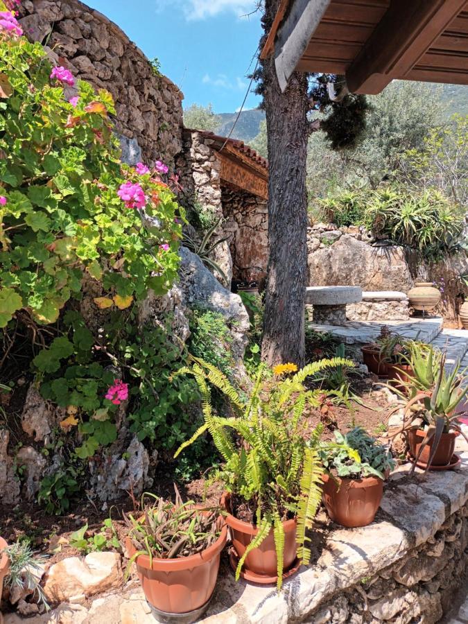 Aphrodite'S Maisonette On Corfu Island Barbáti Kültér fotó